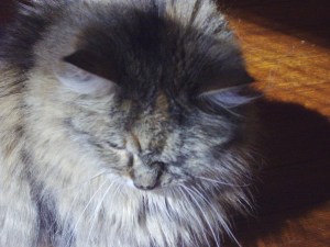 you cannot tell, but I am thinking about that book.