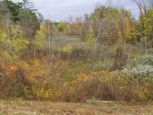 Off to wander the moors and contemplate...