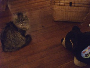 The strong and silent type?