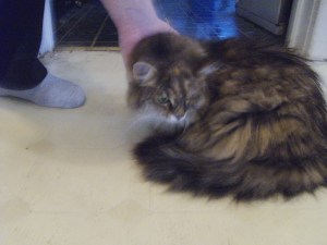 Uncle scrtiches are theraputic, too.