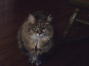 That's all for this week.