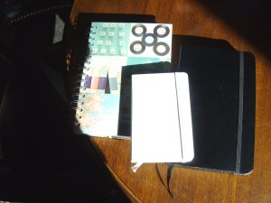 Some of Anty's current notebooks