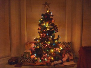 Wrapping paper is very noisy, in case you were wondering.