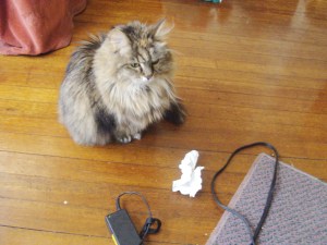 Me and the BEST TOY EVER