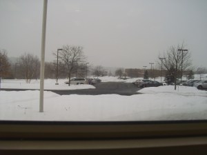 The view from the meeting room