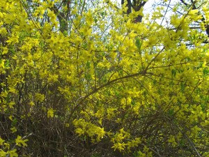 *not* the view from my recliner
