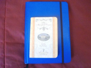 new kids on the block