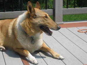 He woke up like this