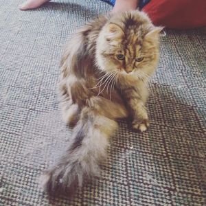 random me picture because Anty likes it