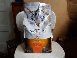 kitty's got a brand new bag