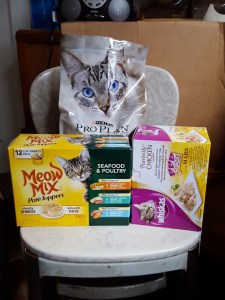 this is a good grocery haul