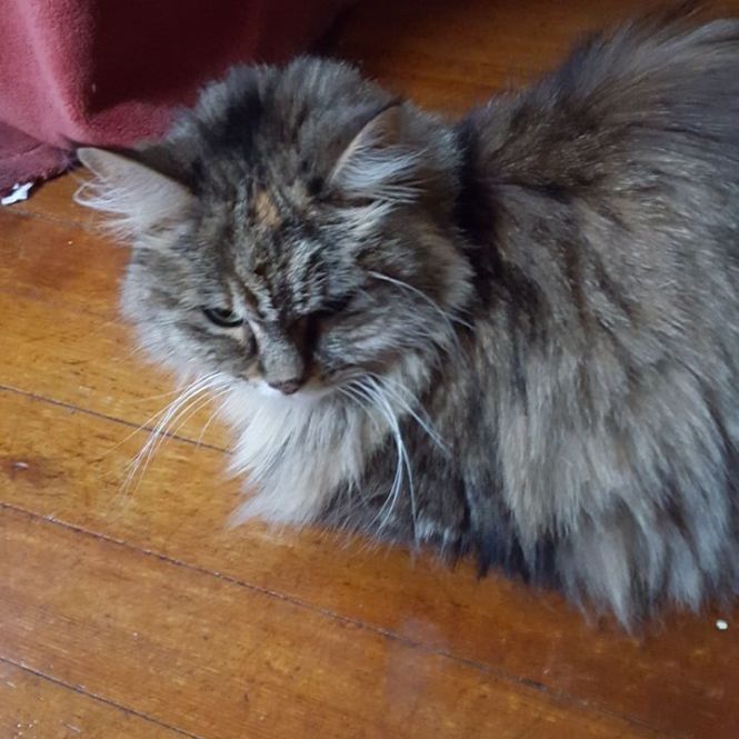 10644572_1098490643524299_3596118666995787014_n