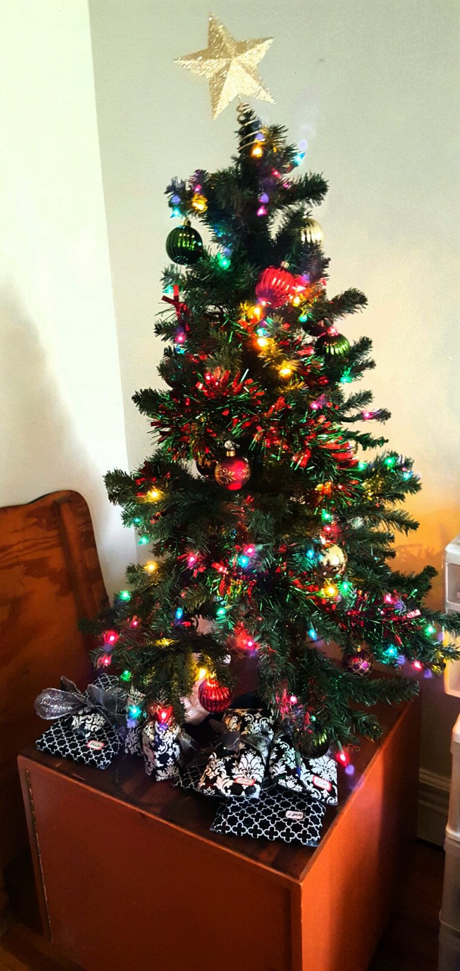 2015-12-25 08.25.02_resized