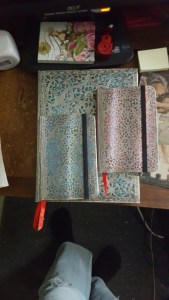 20160113_104226_resized