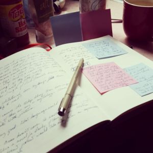 12715759_1127591960614167_1243327626909493411_n