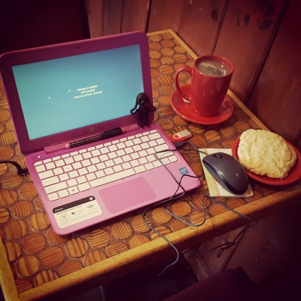 12985476_1177155822324447_3573269622799030892_n