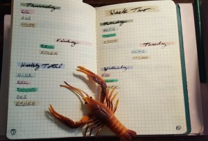 WritingTracker1stTry