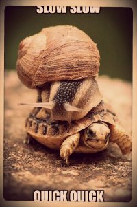 BURslowslowquickquick